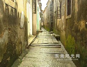 ȸ��ȫ�Զ��齫������Ƶ����������ĳ�����־ֹ��ֻ�ľ������ �ɼ��ͨ��...